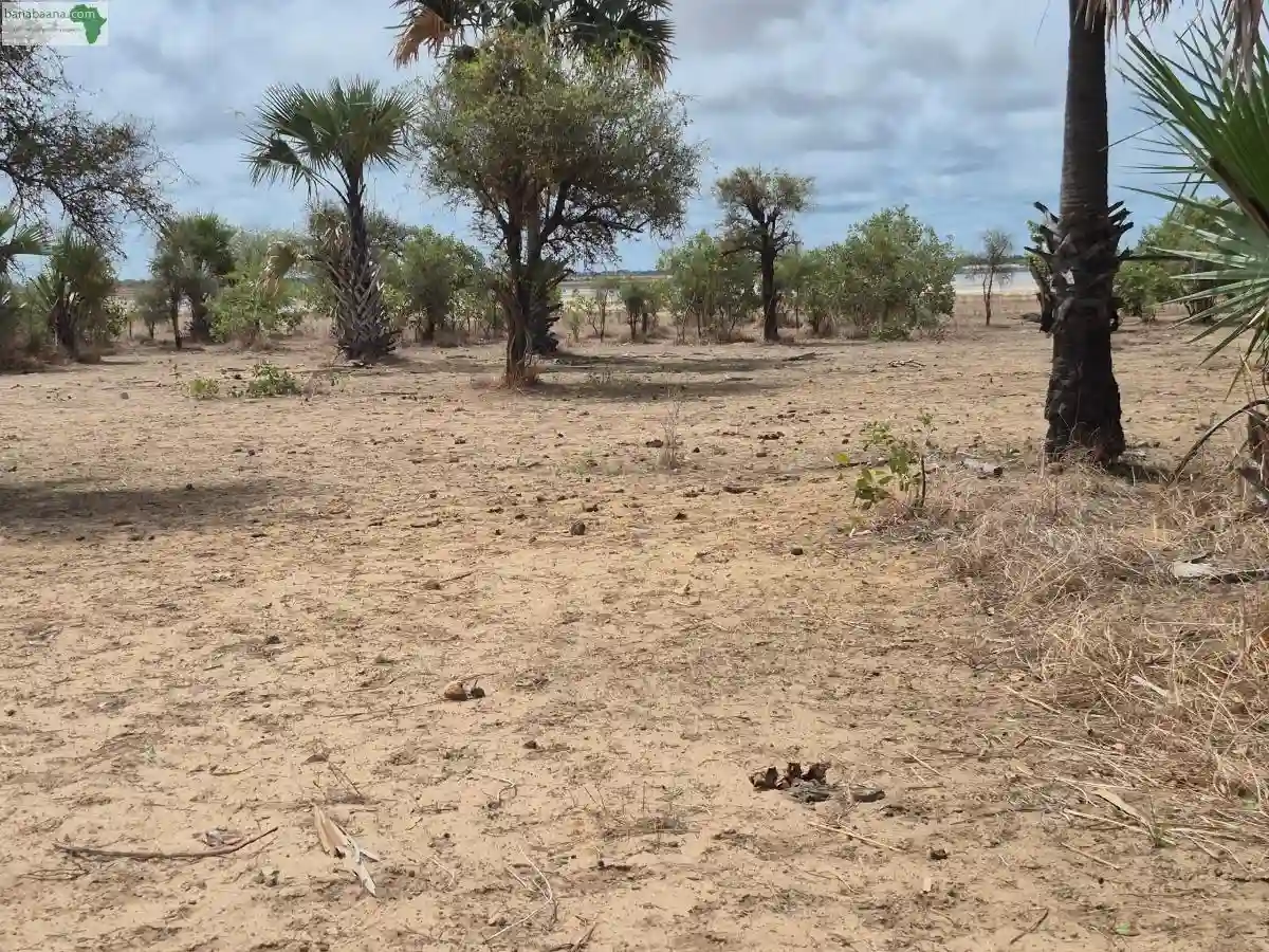 Terrain de 600 Mètres Carrés à Vendre à N - Vue 2