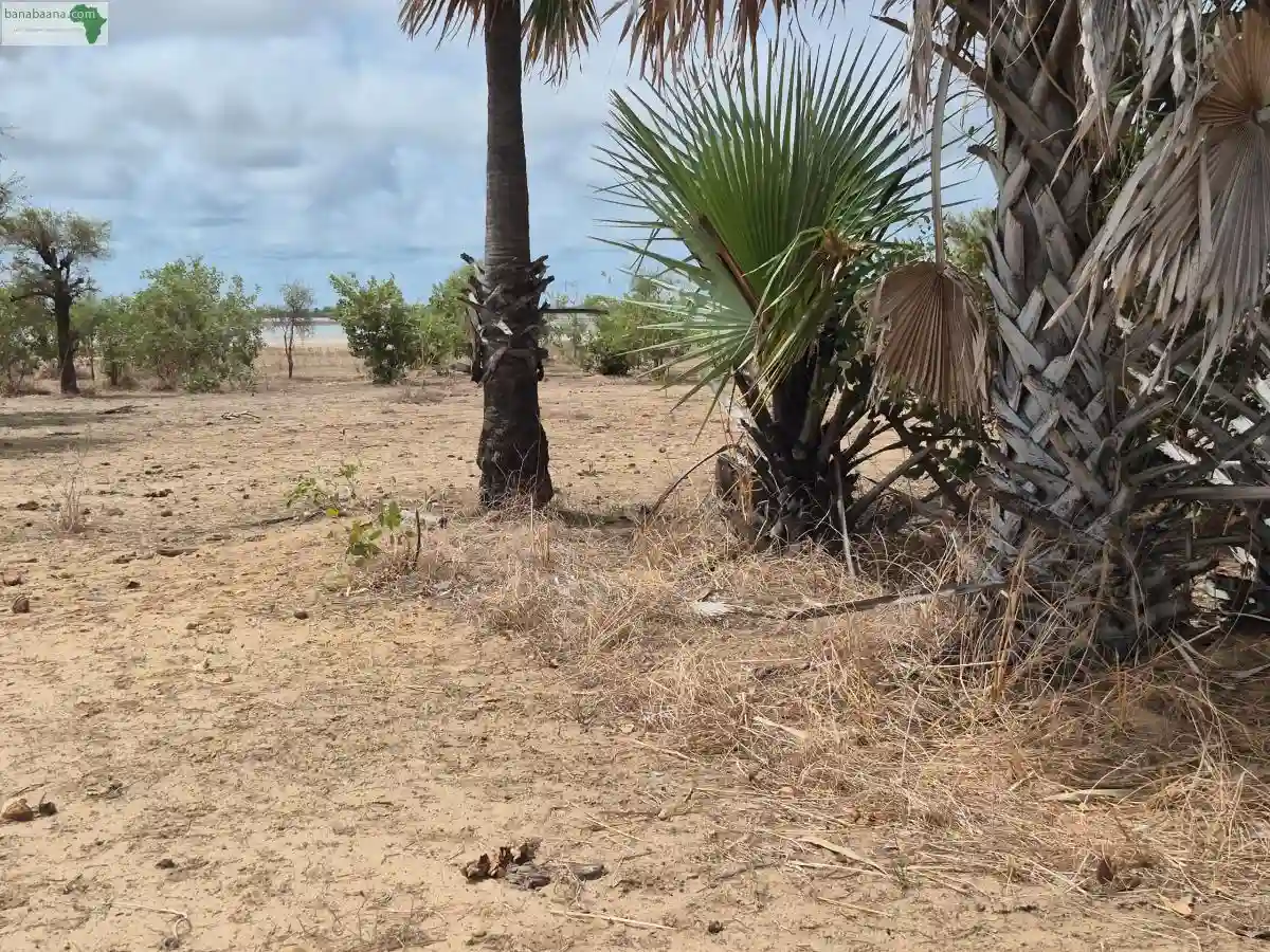 Terrain de 600 Mètres Carrés à Vendre à N - Vue 3