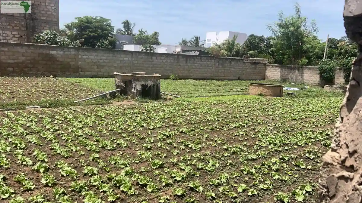 Terrain de 555 Mètres Carrés à Vendre à S - Vue 1
