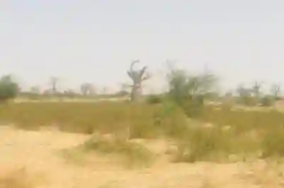 Terrain de 7 Hectares Vers Nguéniène à Mbour - Vue 2