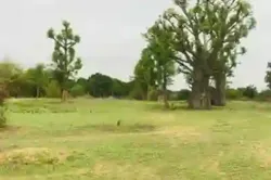 Terrain de 7007 m² Vers Diender à Thies
