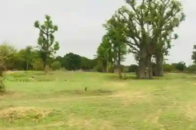 Terrain de 7007 m² Vers Diender à Thies - Vue 1