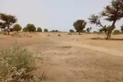 Terrain de 7067 m² Vers Tassette à Thies