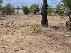 Terrain 600 Mètres Carrés à Vendre à Ndayane S à Fatick