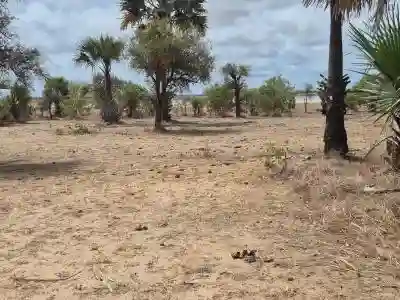 Terrain 600 Mètres Carrés à Vendre à Ndayane S à Fatick - Vue 1