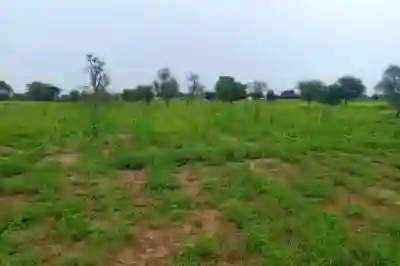 Terrain de 7089 m² Vers Dalla Ngabou à Diourbel