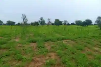 Terrain de 7089 m² Vers Dalla Ngabou à Diourbel - Vue 1