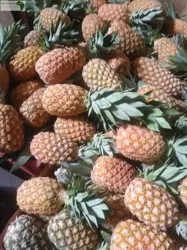 Ananas DE Guinée