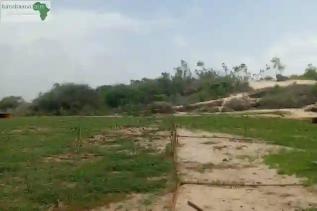 Verger de 133 Hectare Vers Notto Diobass