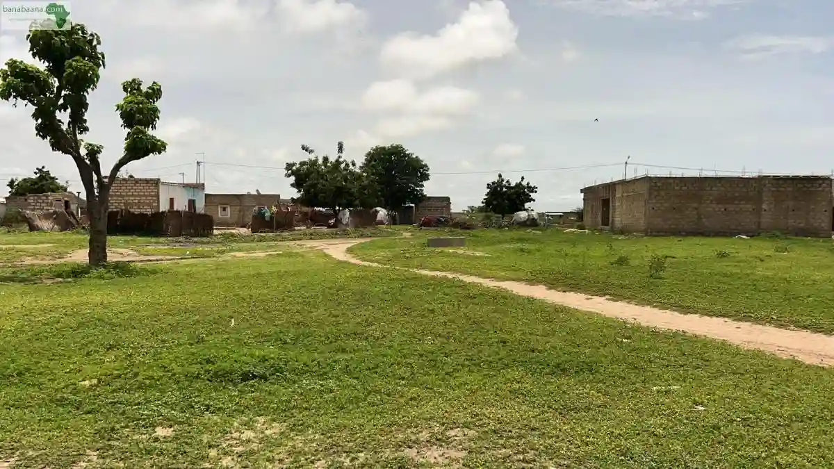 Terrain de 500 Mètres Carrés à Vendre à M - Vue 3