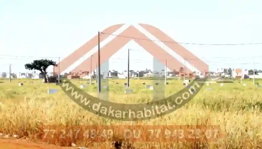 Opportunité Immobilière à Diakhirate