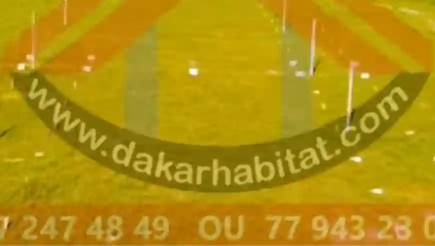 Opportunité Immobilière à Diakhirate - Vue 1