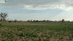 Terrain de 300 Mètres Carrés à Vendre à M