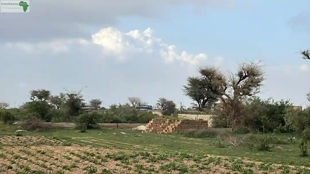 Terrain de 300 Mètres Carrés à Vendre à M - Vue 1