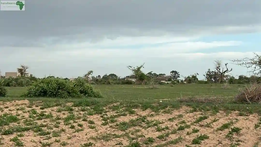 Terrain de 300 Mètres Carrés à Vendre à M - Vue 2