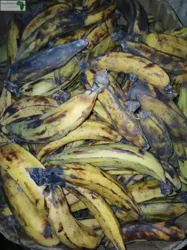 Bananes Plantains À Vendre