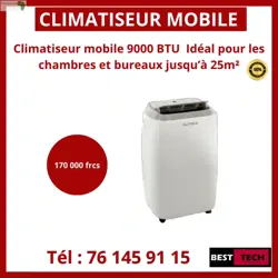 Restez AU Frais CET ÉTÉ Avec LES Climatiseu