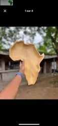 Plateau Africa en Bois