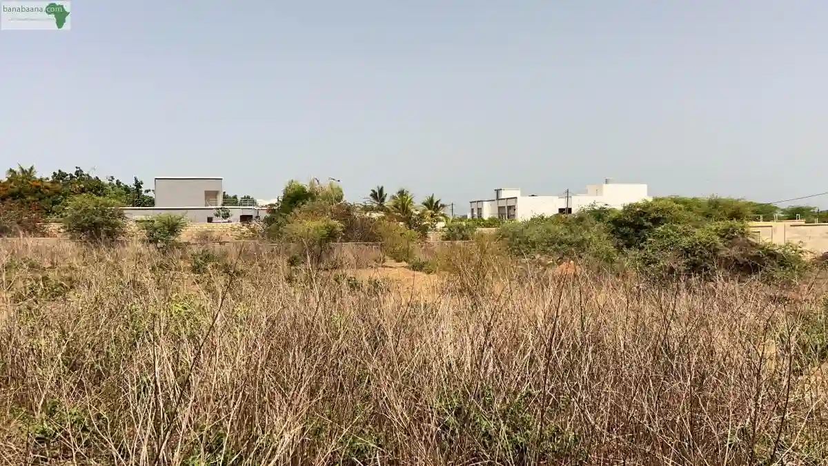 Terrain de 1143 Mètres Carrés à Vendre à - Vue 1
