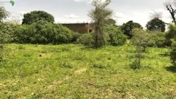 Terrain de 225 Mètres Carrés à Vendre à G