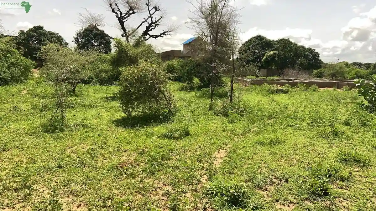 Terrain de 225 Mètres Carrés à Vendre à G - Vue 1