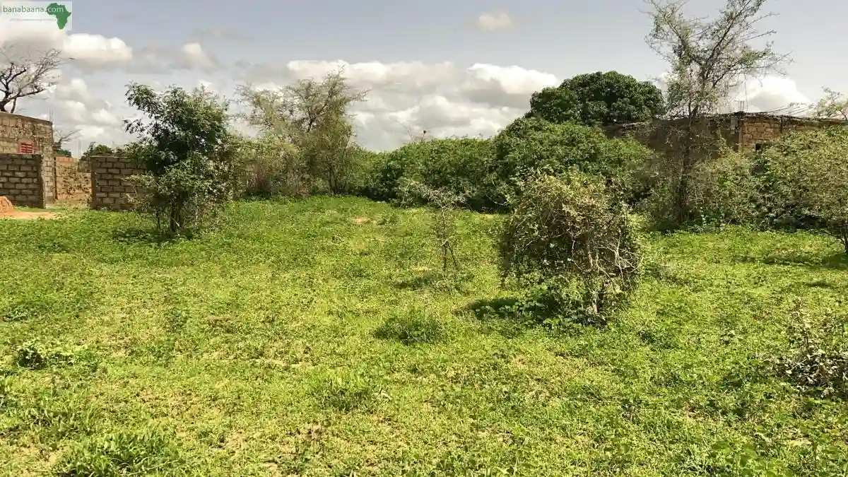 Terrain de 225 Mètres Carrés à Vendre à G - Vue 2