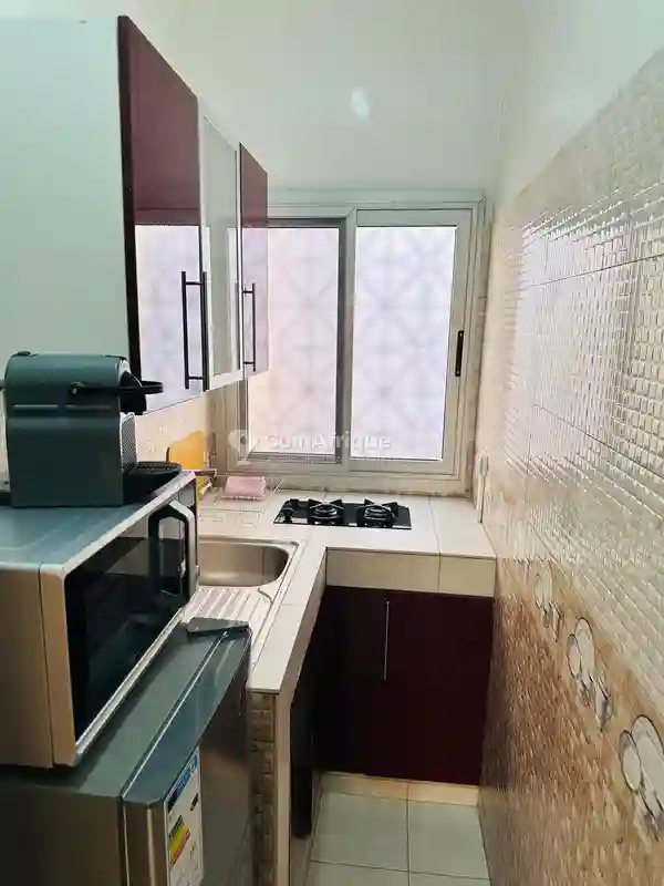 Location Appartement Meublé 1pièce- Sicap Foire - Vue 4