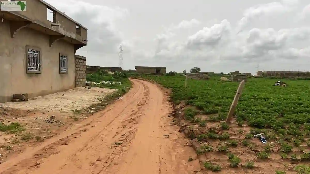 Terrains de 225m2 à Tene Toubab City Sénég