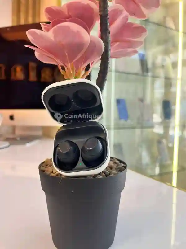 Buds fe - Vue 1