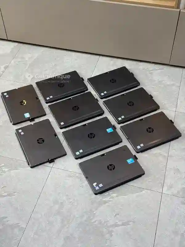 HP Pro X2