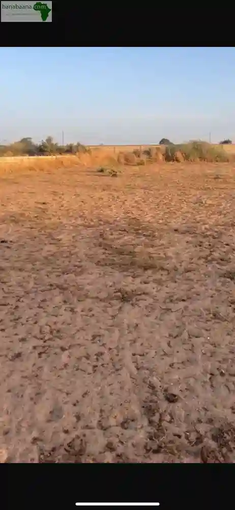Terrains de 2000 Mètres Carrés à Vendre à - Vue 2