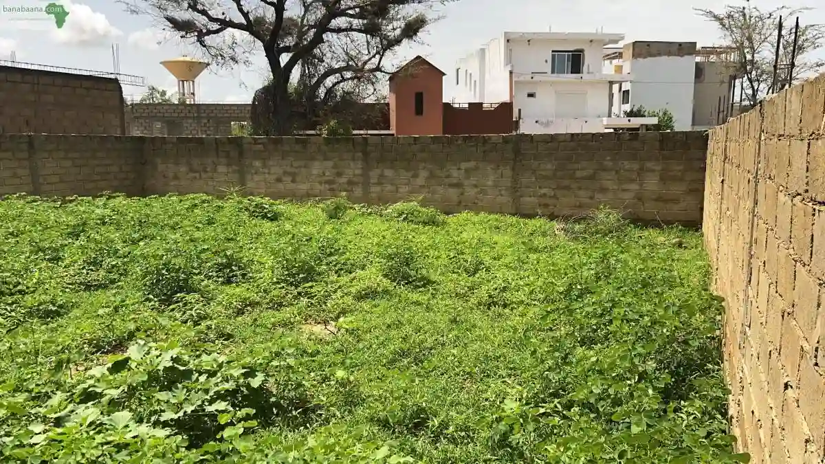 Terrains de 225 Mètres Carrés à Vendre à
