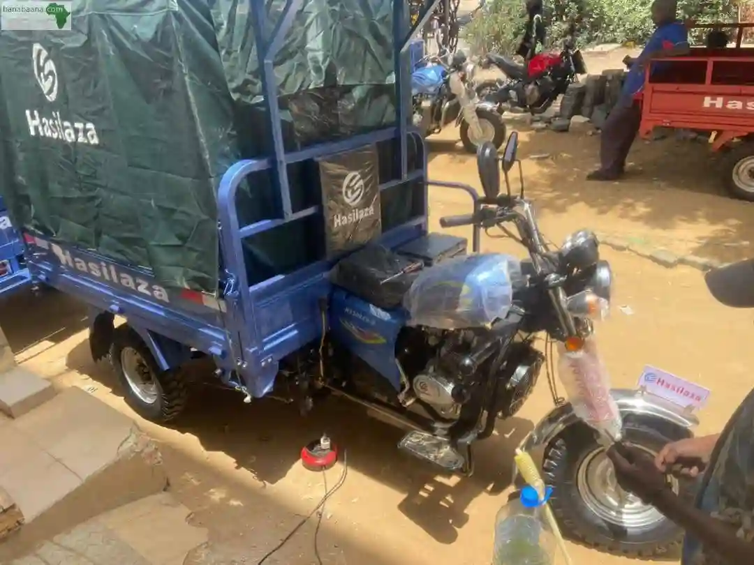 Tricycles Hasilaza 300 & 200cc Disponibl - Vue 1