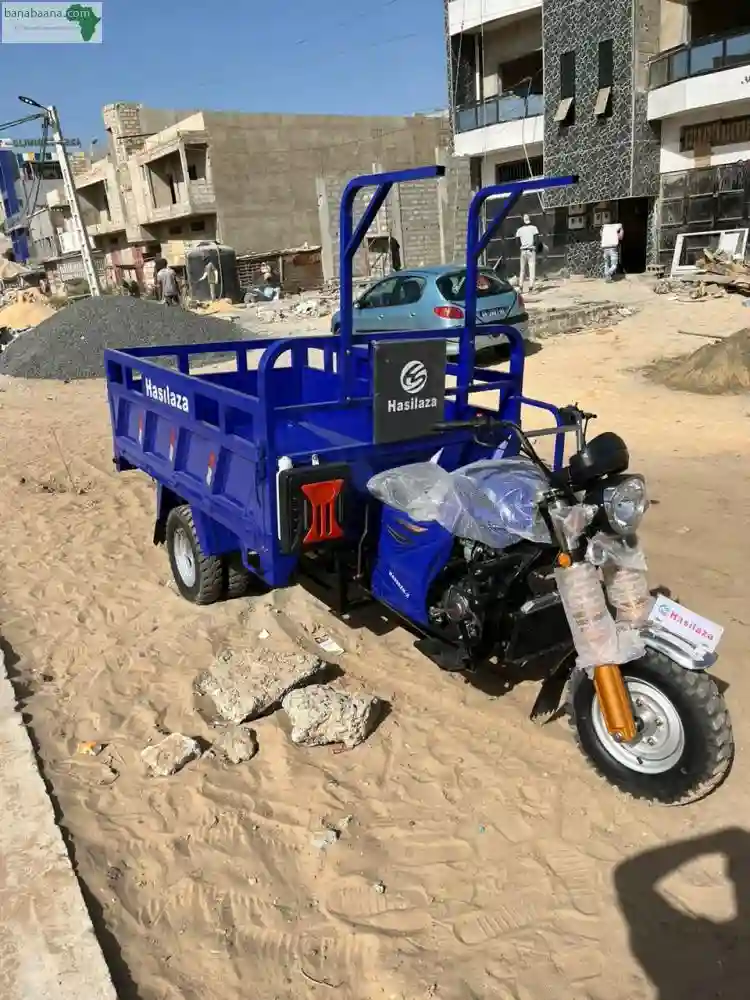Tricycles Hasilaza 300 & 200cc Disponibl - Vue 2