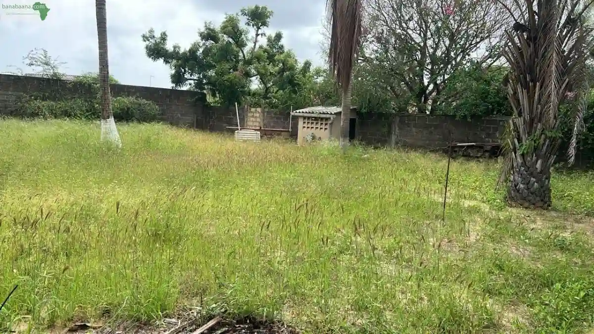 Terrain de 1000 Mètres Carrés à Vendre à - Vue 1