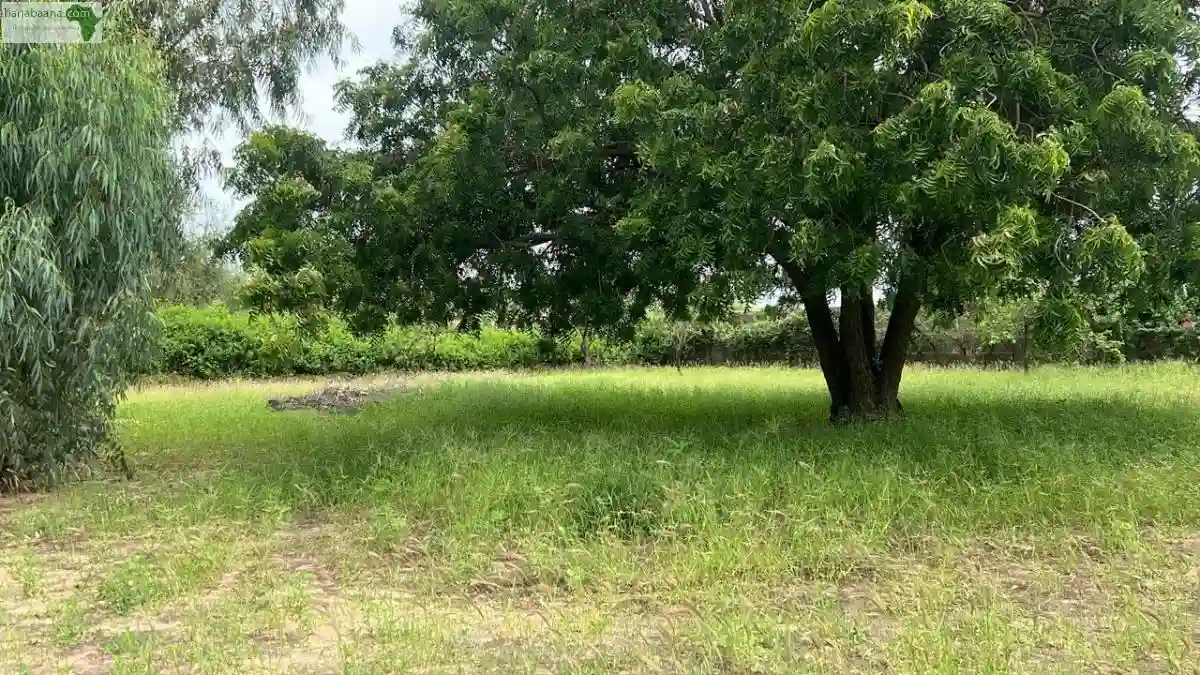 Terrain de 1000 Mètres Carrés à Vendre à - Vue 2