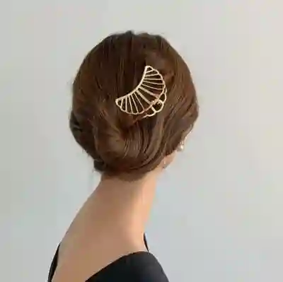 Pinces à Cheveux à Dakar - Vue 2