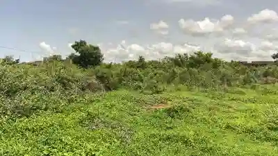 Terrains de 225 Mètres Carrés à Vendre à Gandi à Mbour - Vue 1