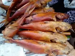 Kong Fumé en Provenance de Gambie