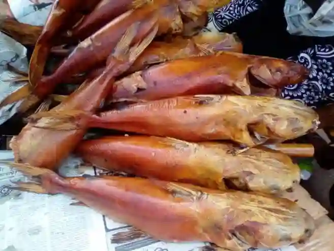 Kong Fumé en Provenance de Gambie