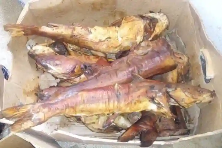 Kong Fumé en Provenance de Gambie - Vue 1