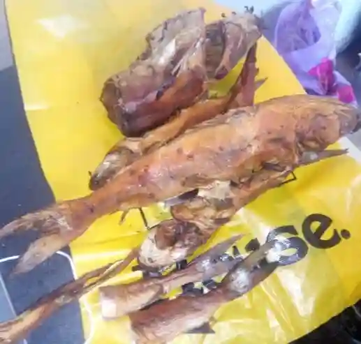 Kong Fumé en Provenance de Gambie - Vue 2