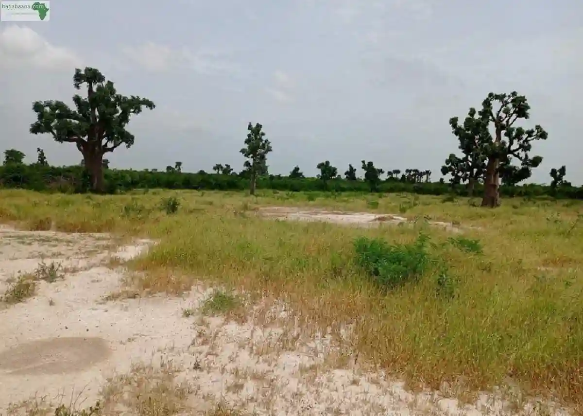 Terrains de 200 Mètres Carrés à Vendre à - Vue 1