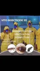 Désinsectisation Express