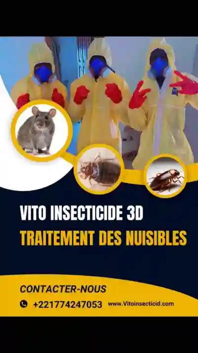 Désinsectisation Express - Vue 3