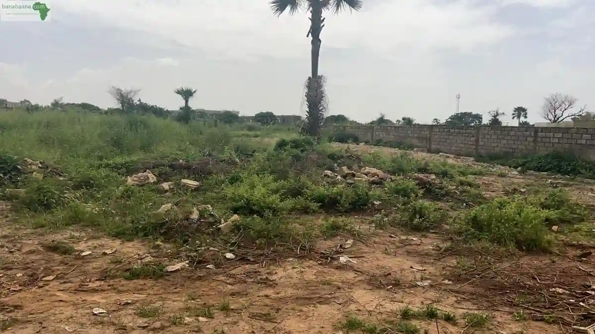 Terrains de 300 Mètres Carrés à Saly Sén� - Vue 1