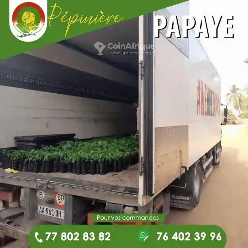 Terrain Agricole -mboro - Vue 3