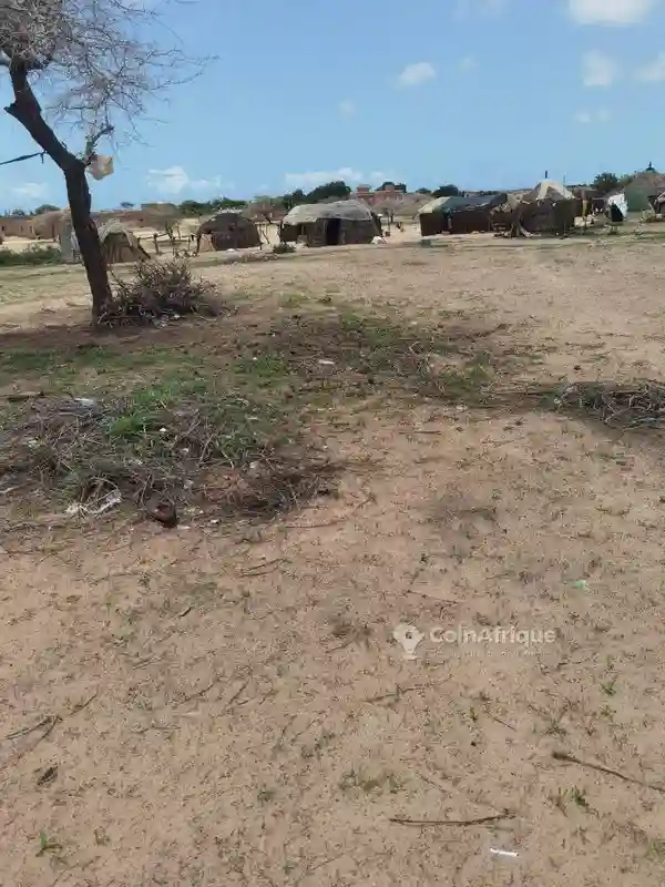 Terrain Agricole -mboro - Vue 7