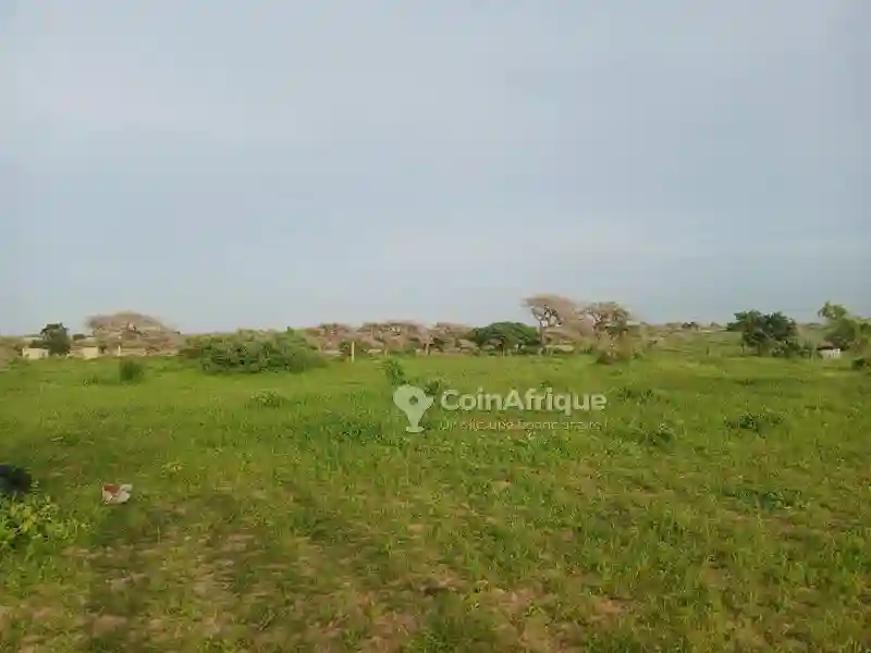 Terrain Agricole -diogomboro - Vue 1
