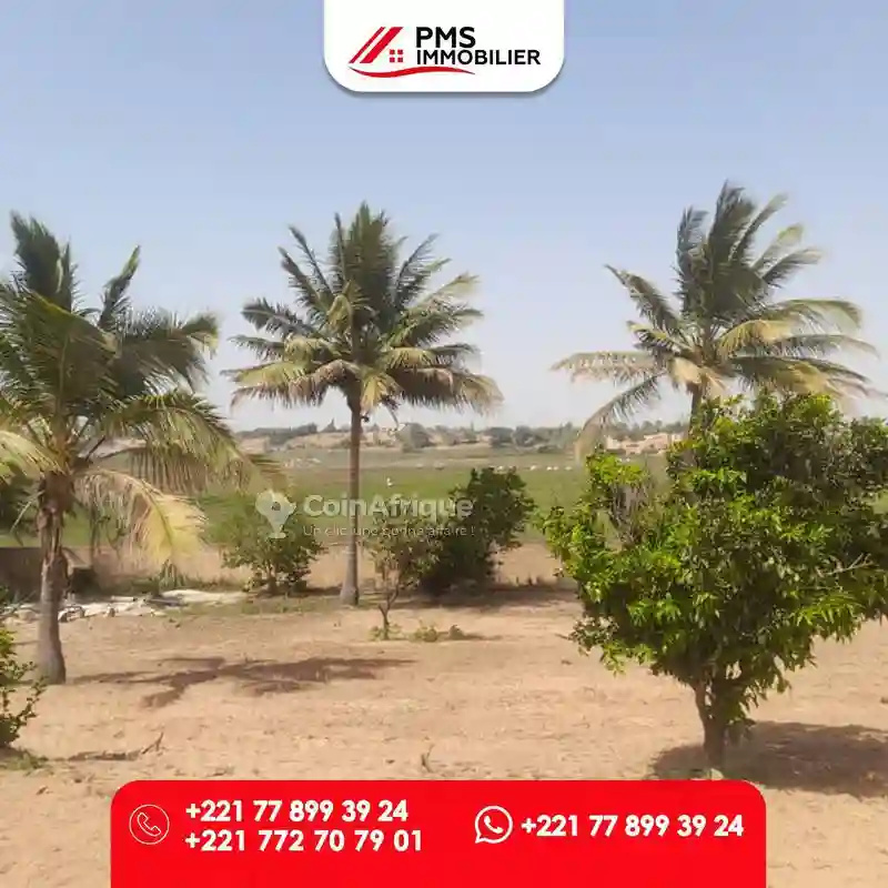 Terrain Agricole -diogomboro - Vue 2